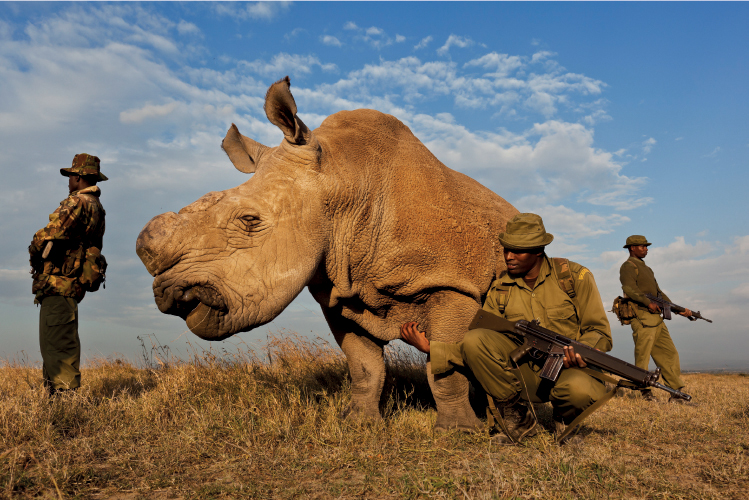 © BRENT STIRTON