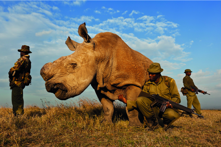 © BRENT STIRTON